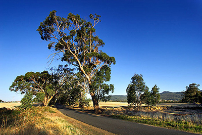 LW Hodgins Removalists Newcastle - Country Removals